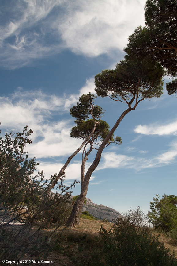 Calanques de Marseille