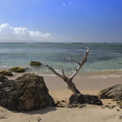 Guadeloupe