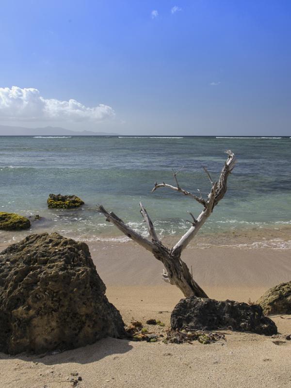 Guadeloupe