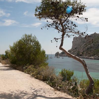 Calanques de Marseille