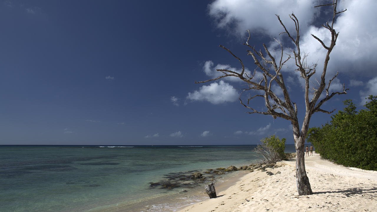 Guadeloupe