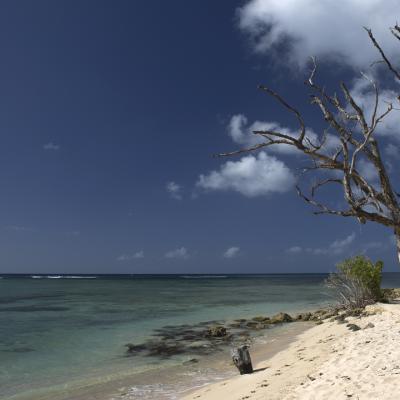 Guadeloupe