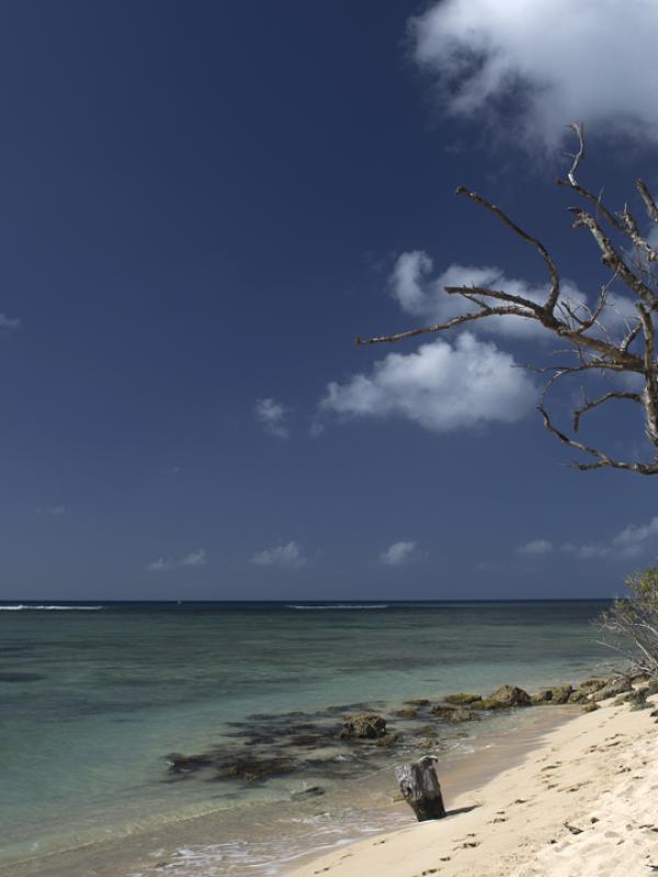 Guadeloupe