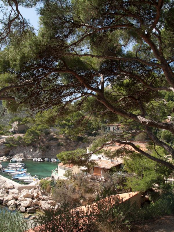 Calanques de Marseille