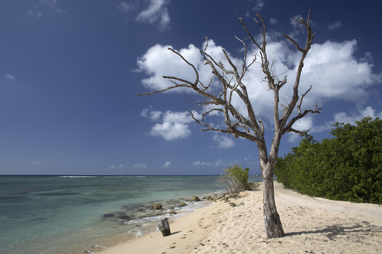 Guadeloupe