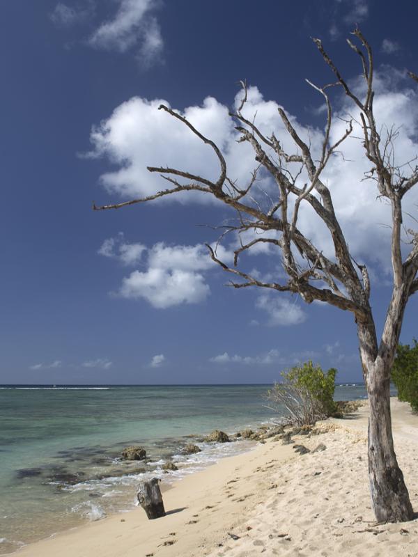 Guadeloupe