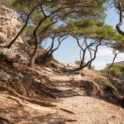 Calanques de Marseille