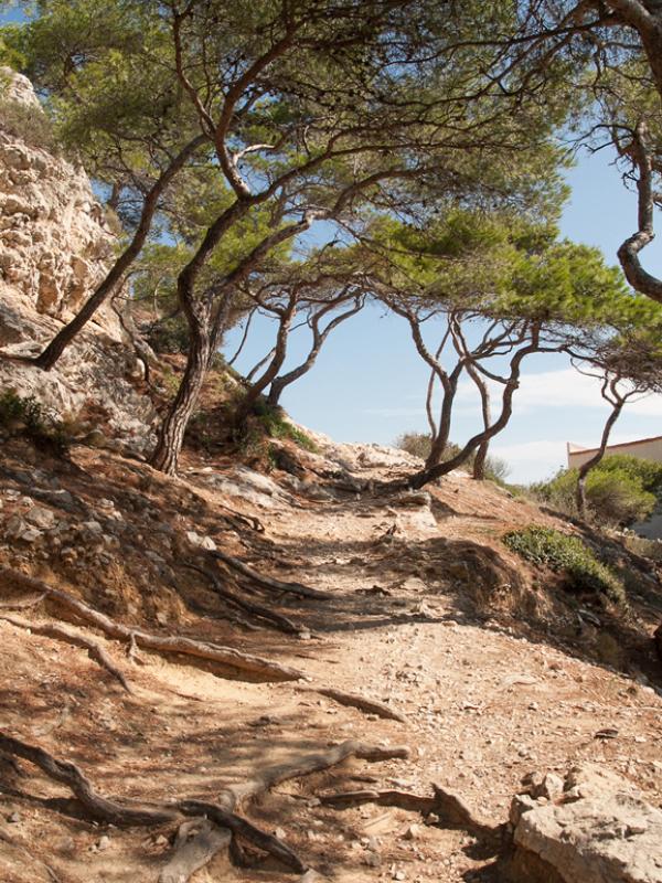 Calanques de Marseille