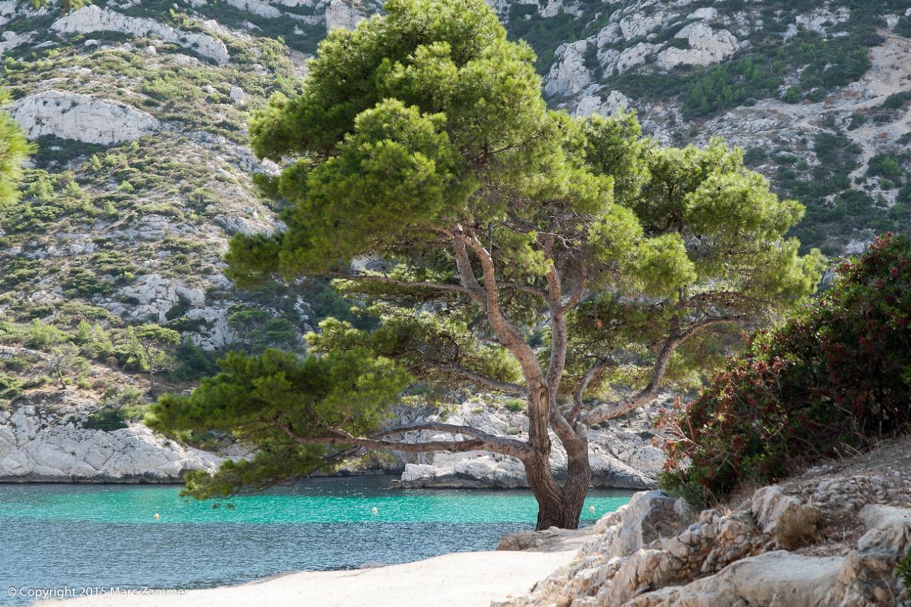 Calanques de Marseille