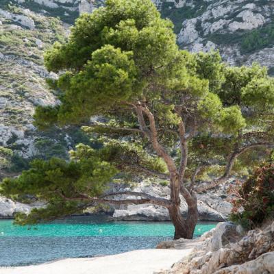 Calanques de Marseille