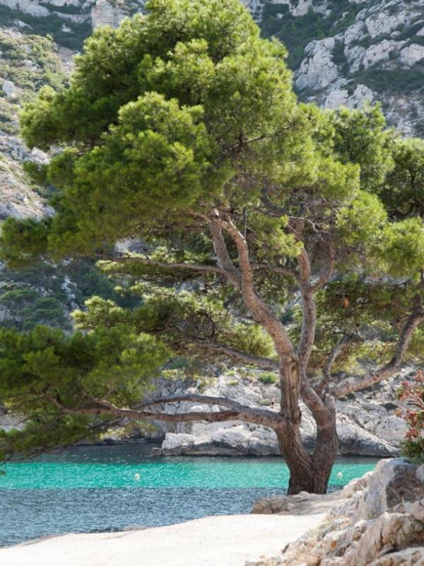 Calanques de Marseille