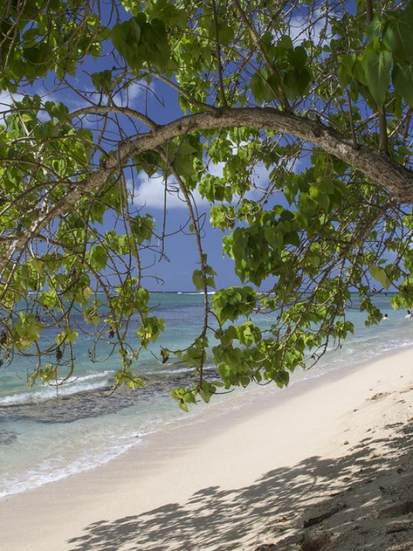 Guadeloupe