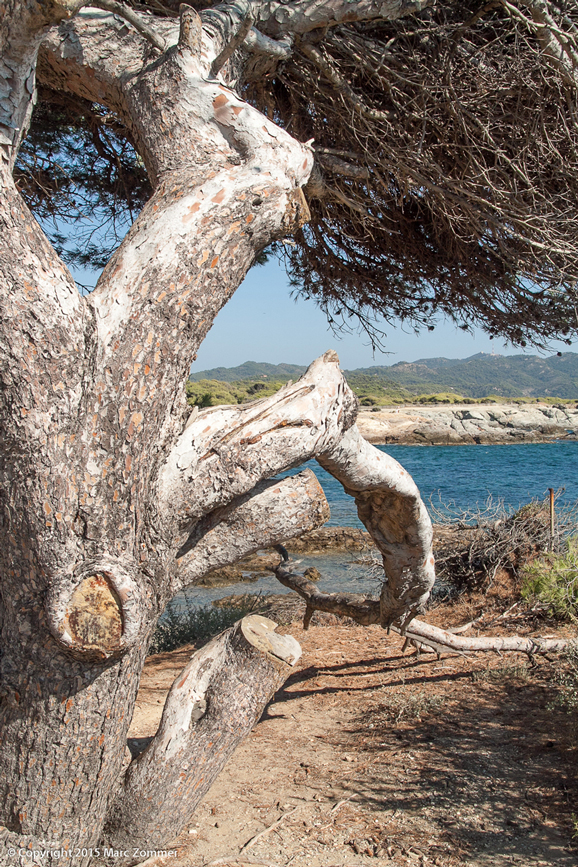 Calanques de Marseille