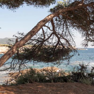 Calanques de Marseille