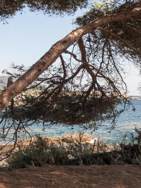 Calanques de Marseille