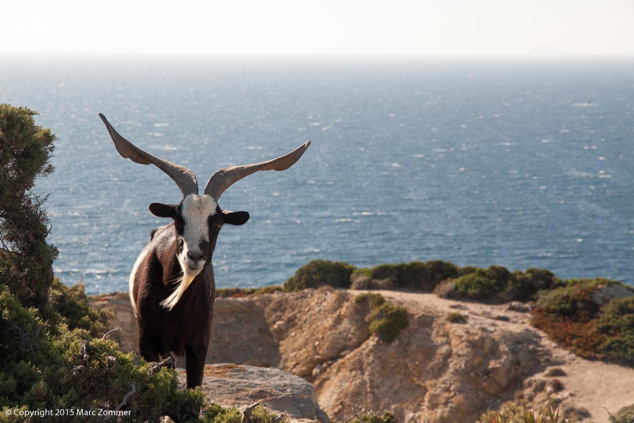 Calanques de Marseille