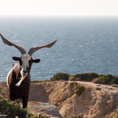 Calanques de Marseille