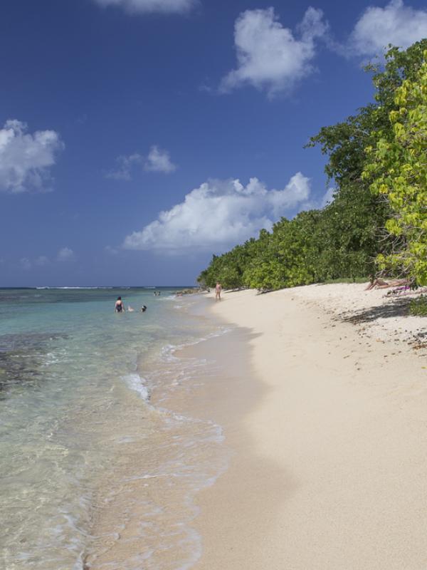 Guadeloupe