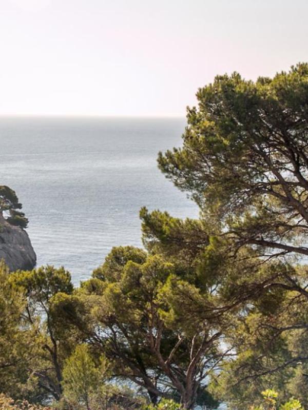 Calanques de Marseille