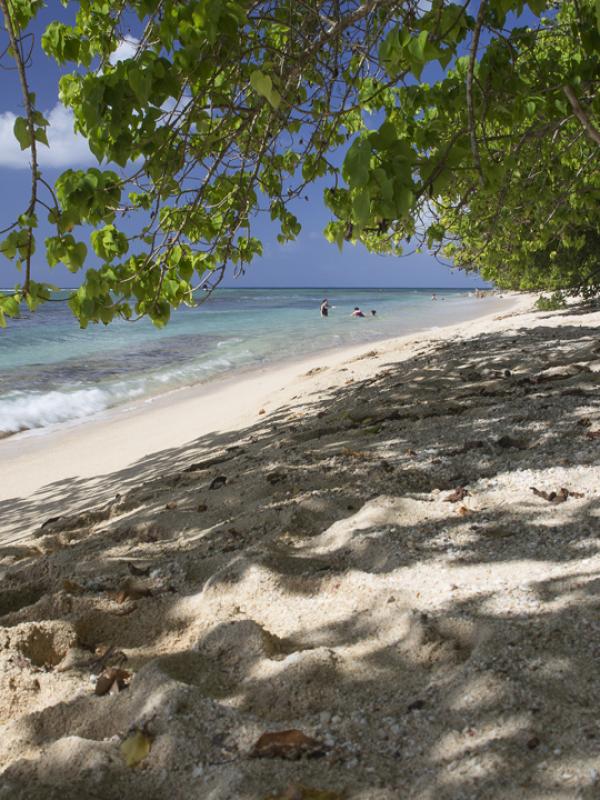 Guadeloupe