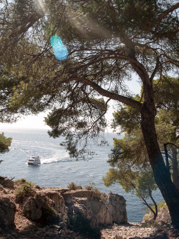 Calanques de Marseille