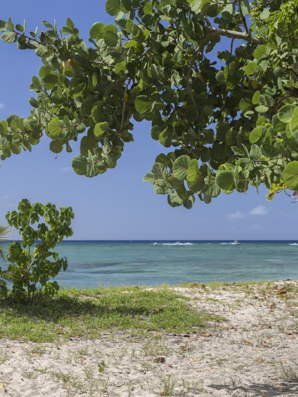 Guadeloupe