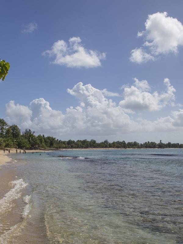 Guadeloupe