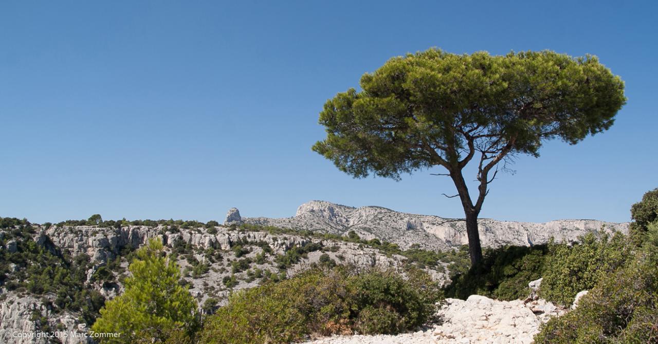 Calanques de Marseille