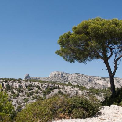 Calanques de Marseille