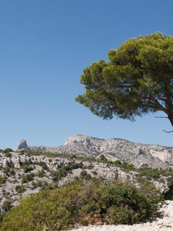 Calanques de Marseille