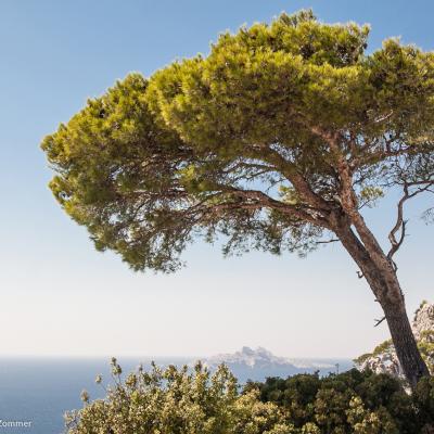 Calanques de Marseille