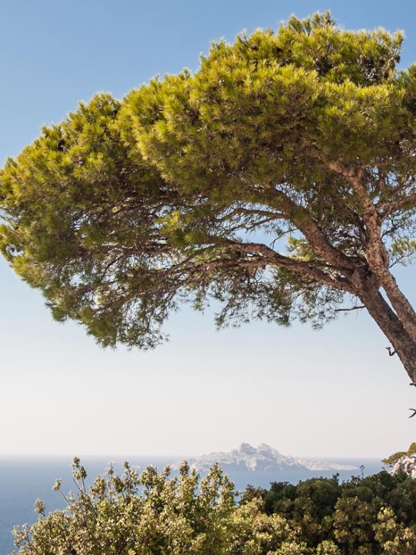 Calanques de Marseille