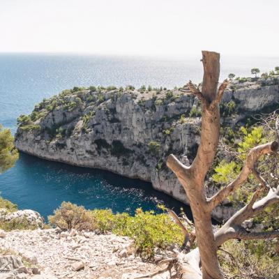 Calanques de Marseille