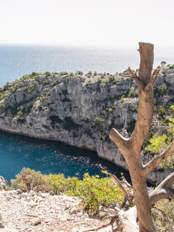 Calanques de Marseille