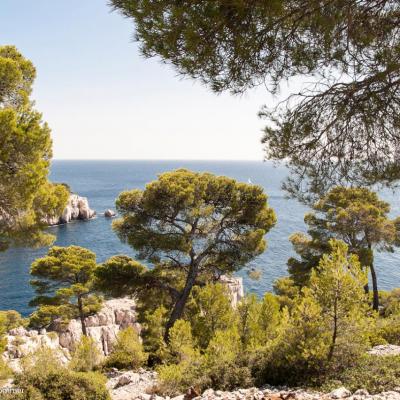 Calanques de Marseille