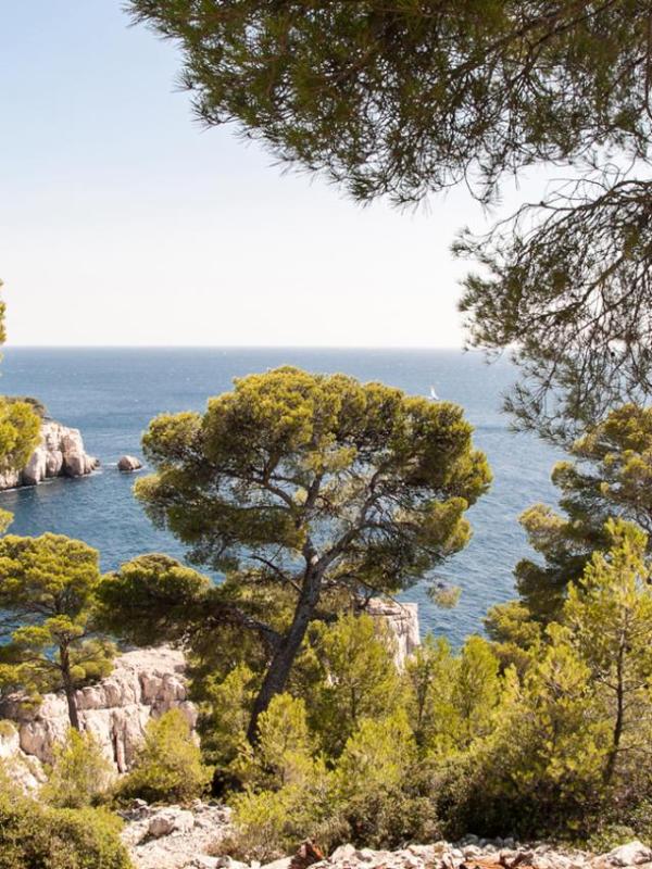 Calanques de Marseille