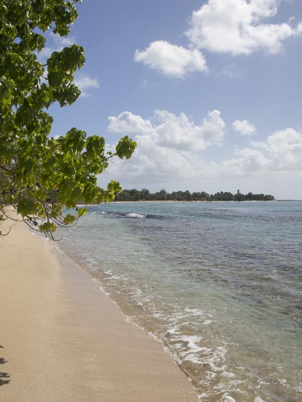 Guadeloupe