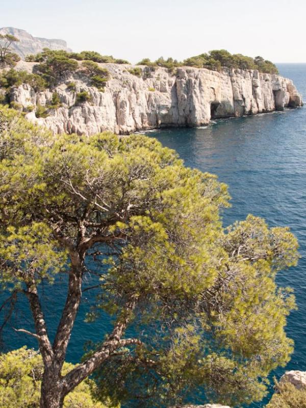 Calanques de Marseille