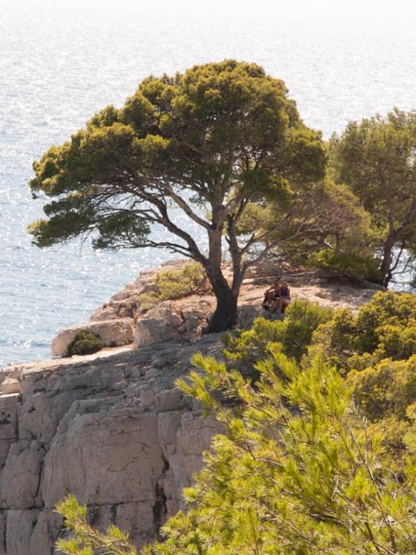 Calanques de Marseille