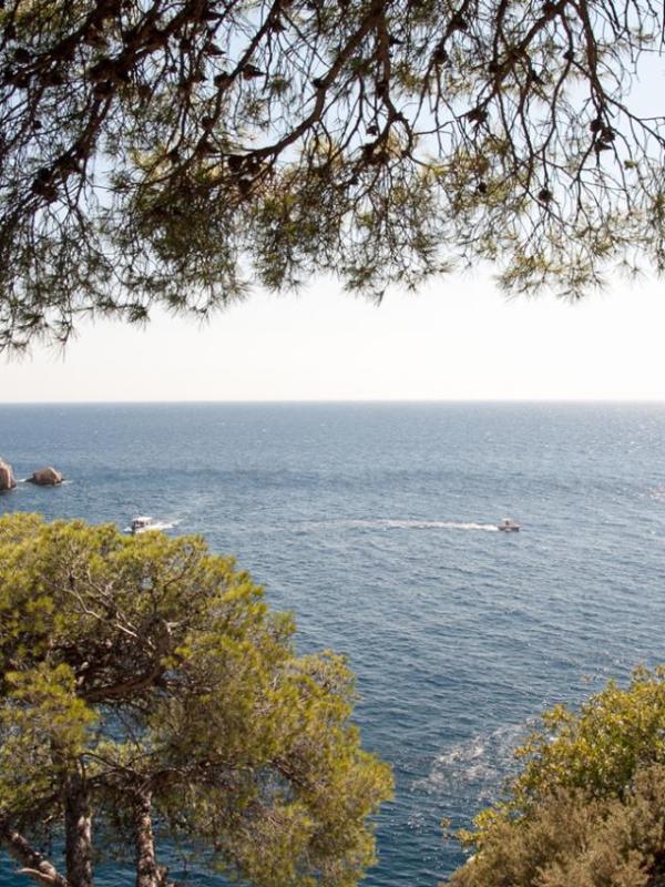 Calanques de Marseille