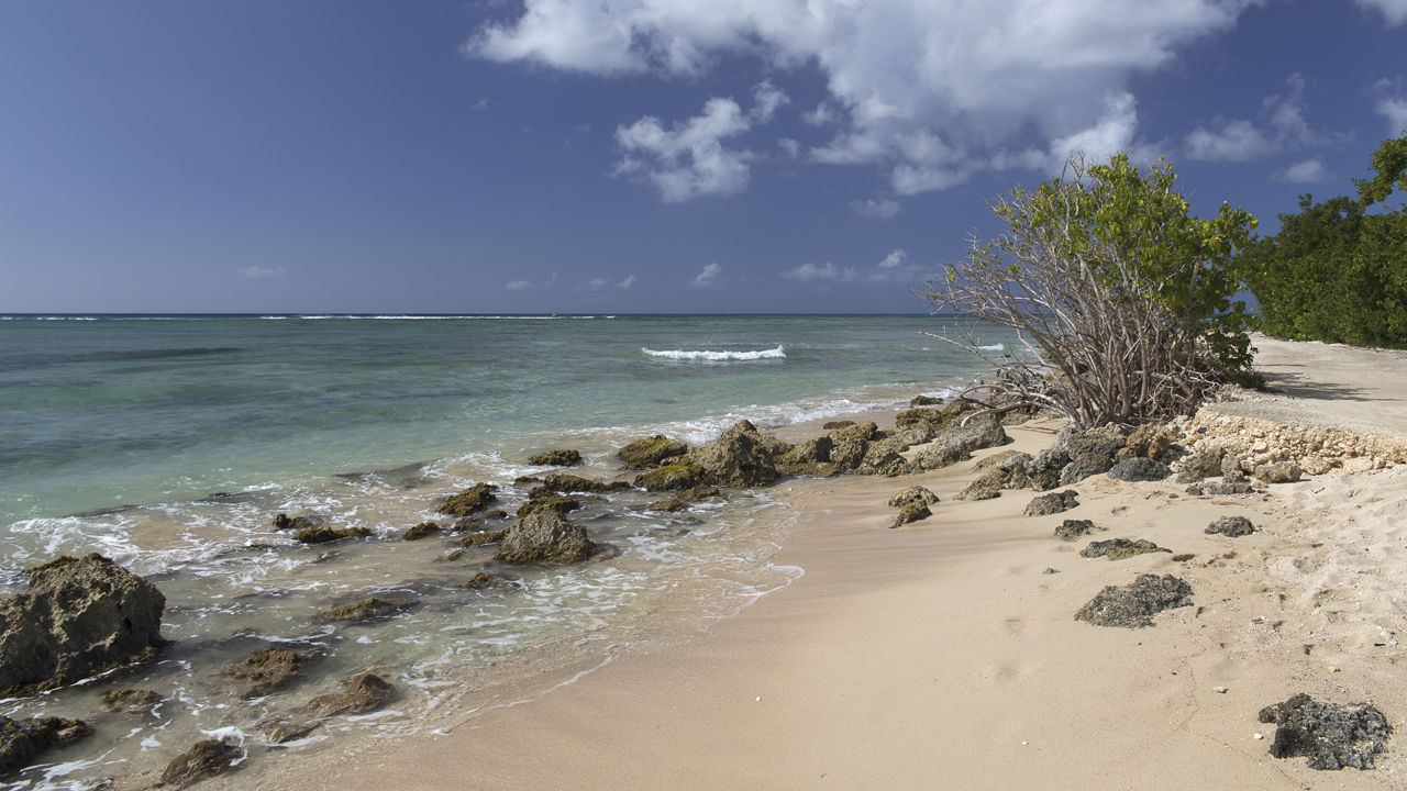 Guadeloupe