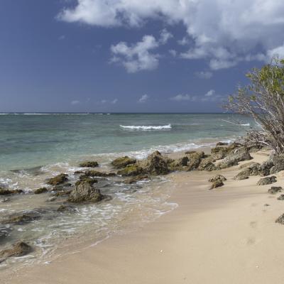 Guadeloupe