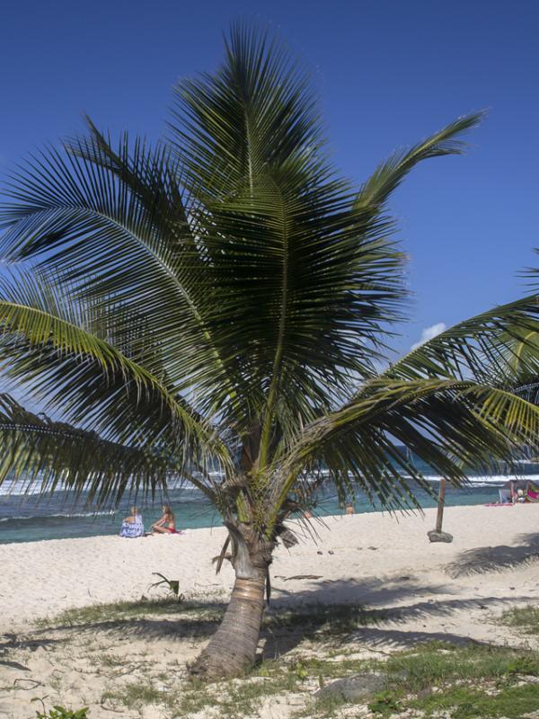 Guadeloupe