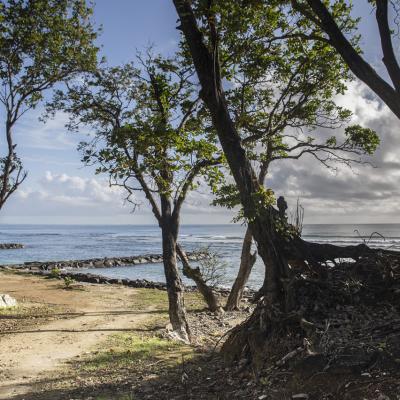 Guadeloupe