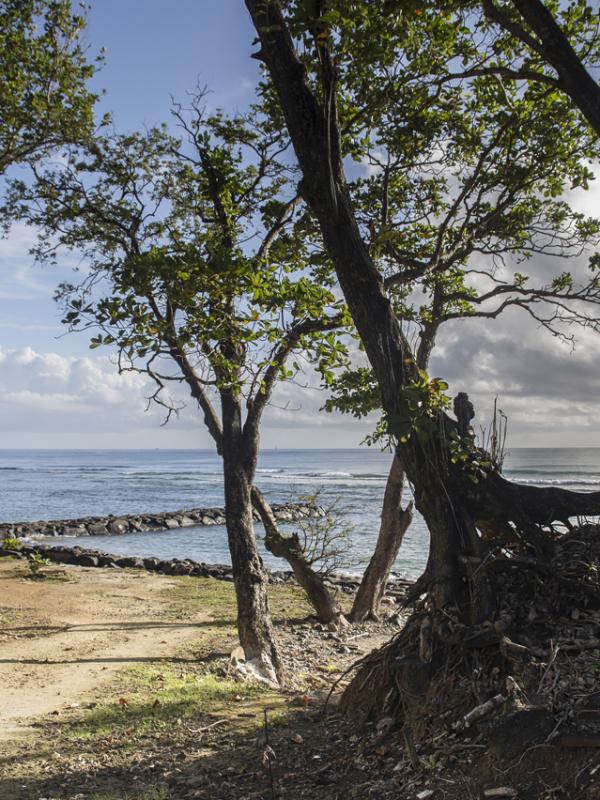 Guadeloupe
