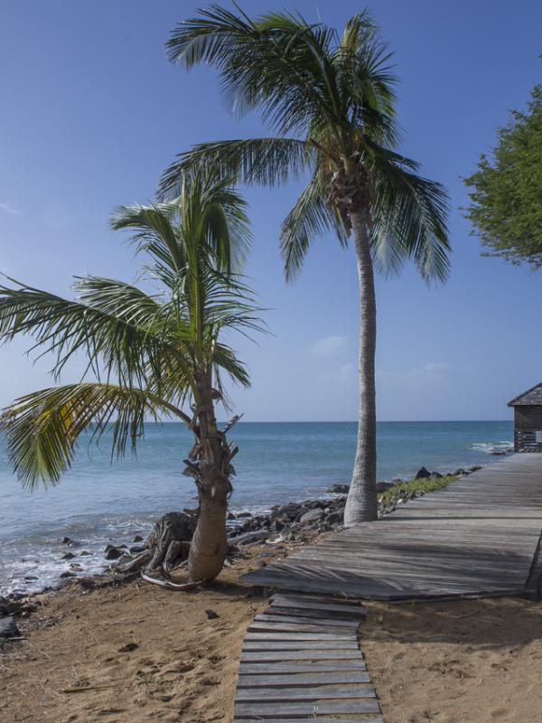 Guadeloupe