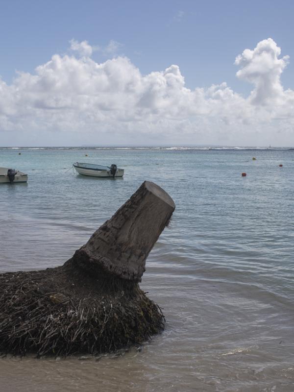 Guadeloupe