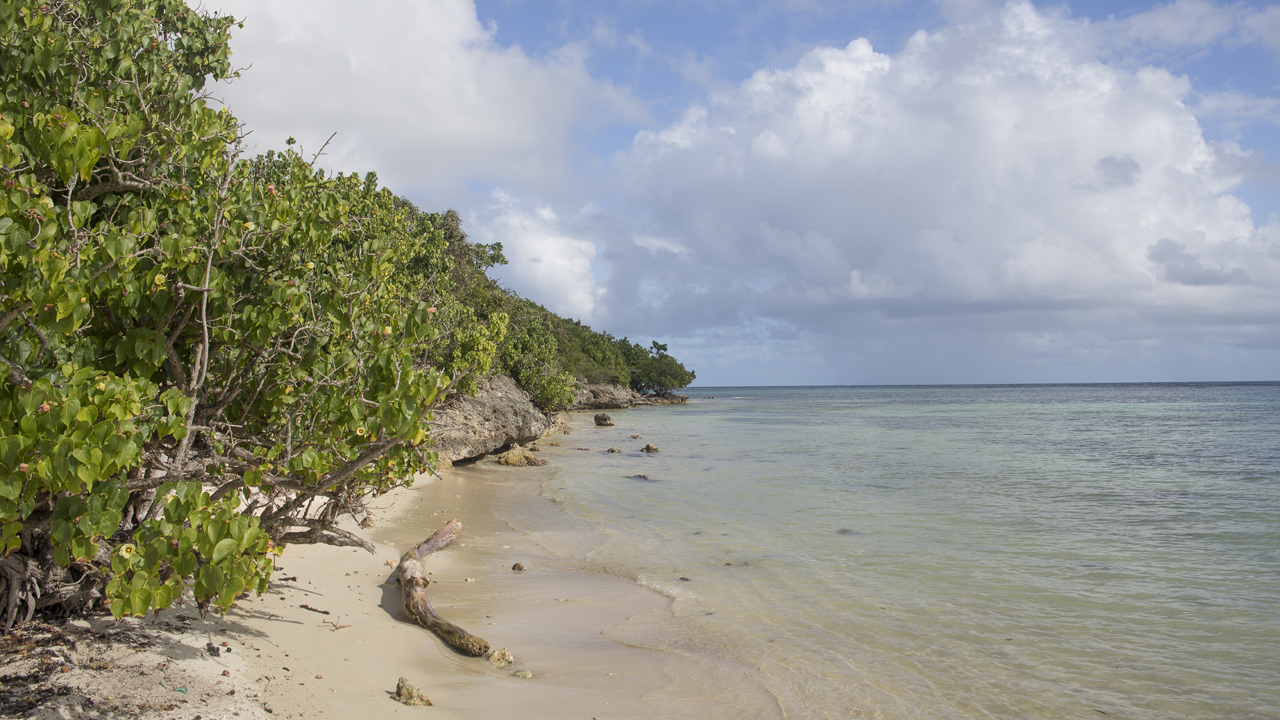 Guadeloupe