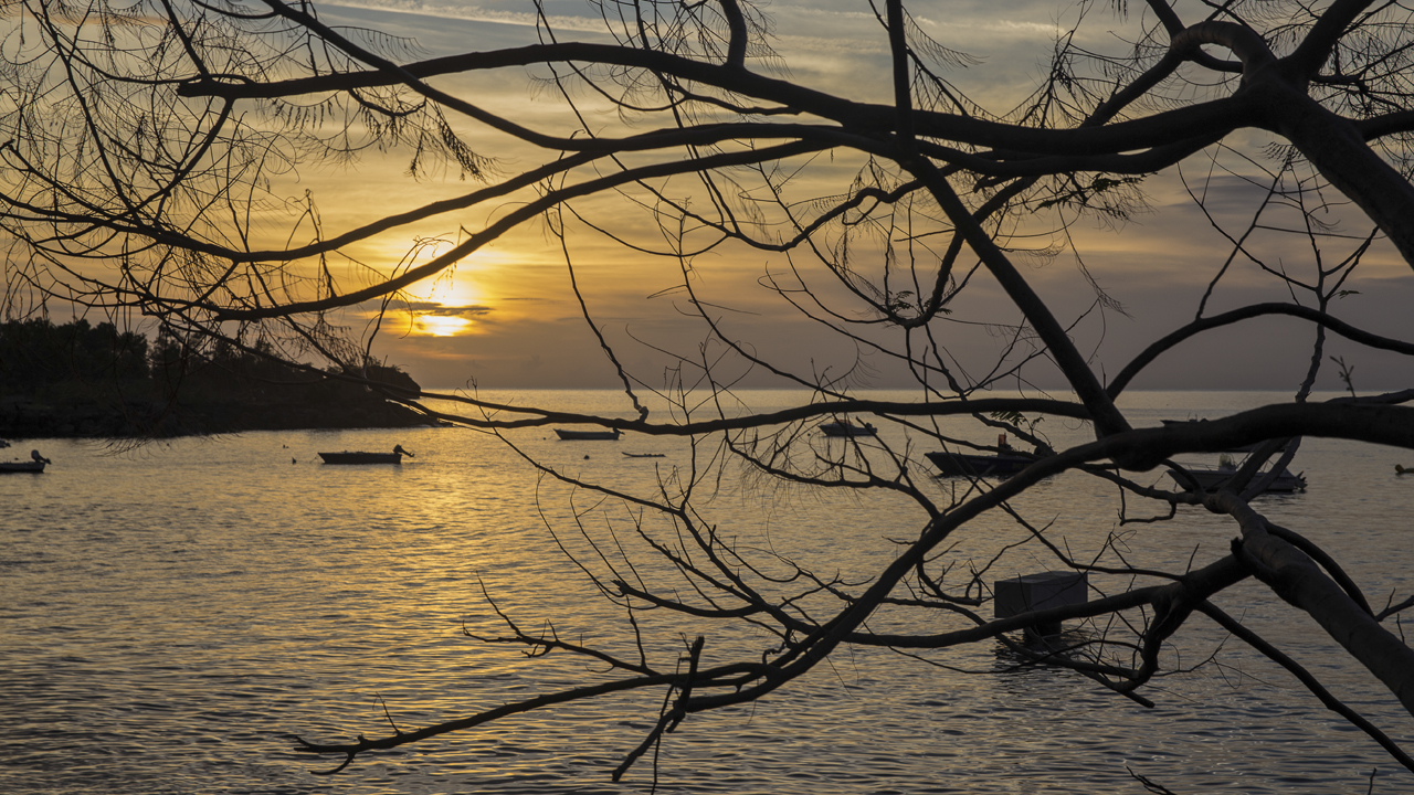 Guadeloupe