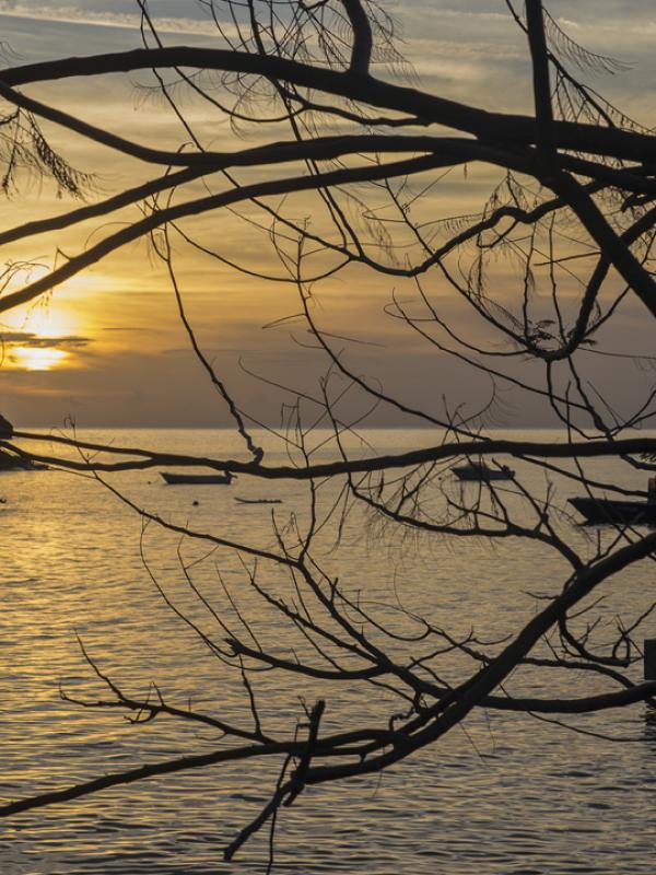 Guadeloupe